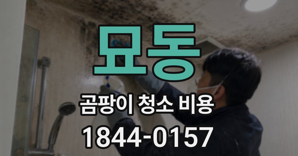 묘동 곰팡이 청소 비용