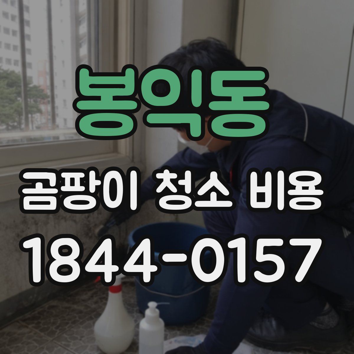 봉익동 곰팡이 청소 비용