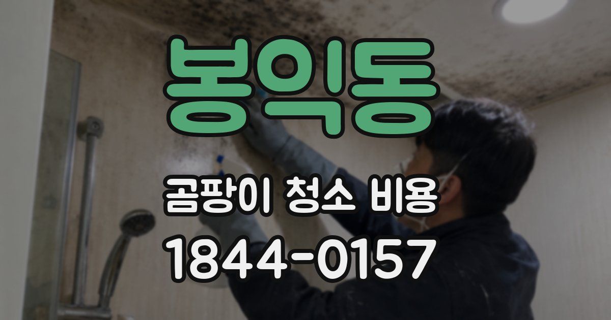 봉익동 곰팡이 청소 비용