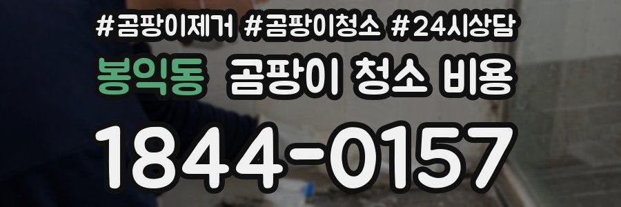 봉익동 곰팡이 청소 비용