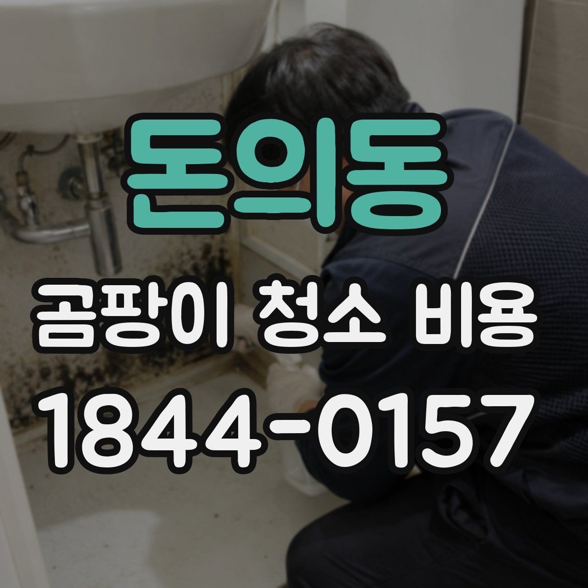 돈의동 곰팡이 청소 비용 천장 누수 흔적이 있으면 견적이 달라질까