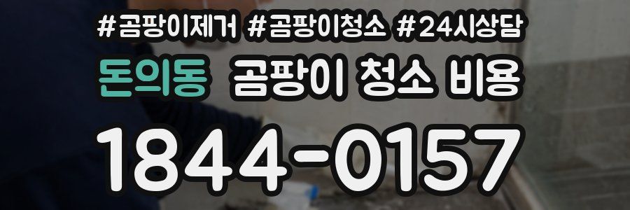 돈의동 곰팡이 청소 비용