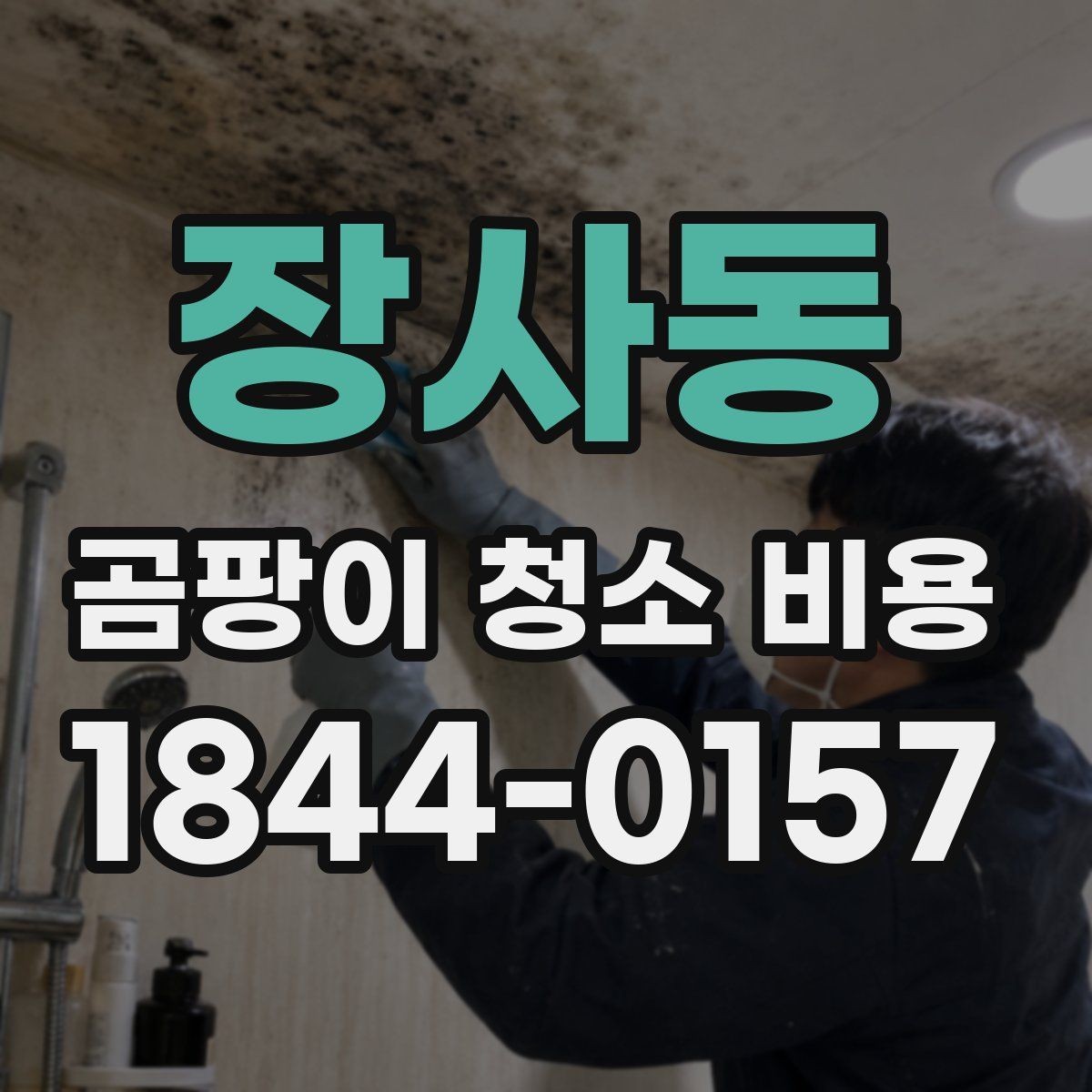 장사동 곰팡이 청소 비용 재오염을 줄이기 위한 사전 점검