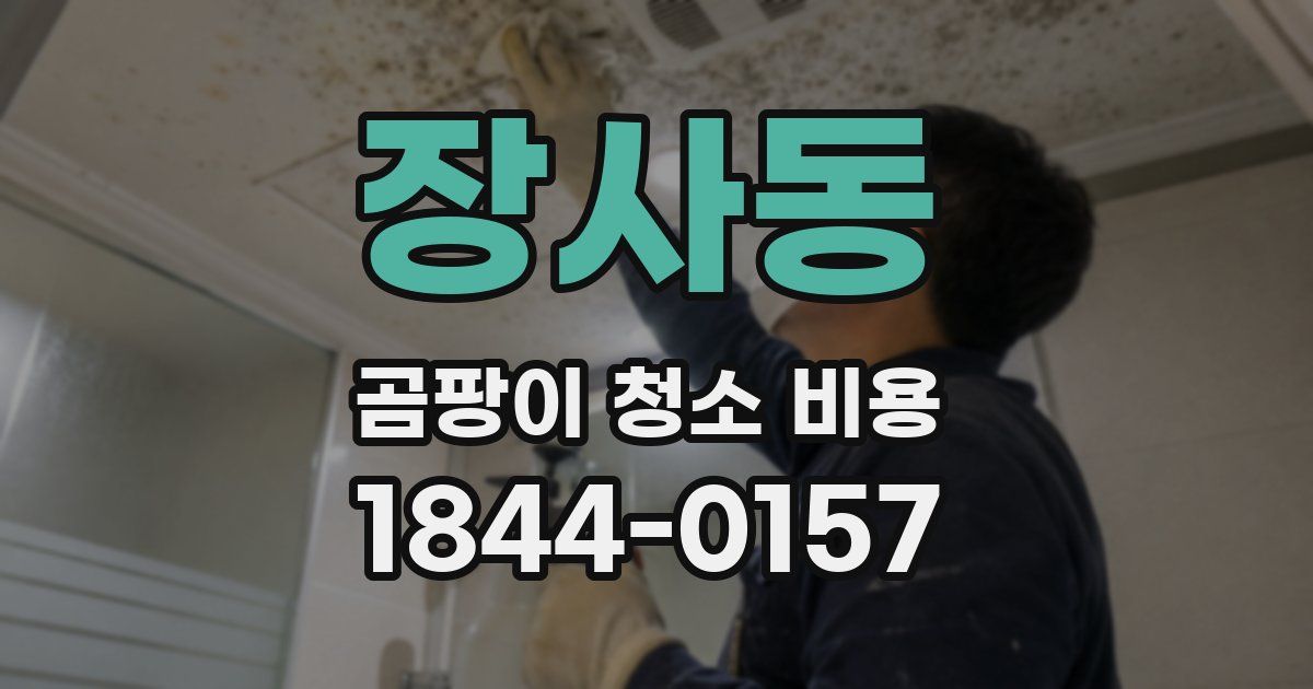 장사동 곰팡이 청소 비용