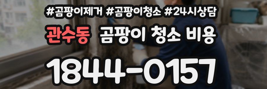 관수동 곰팡이 청소 비용