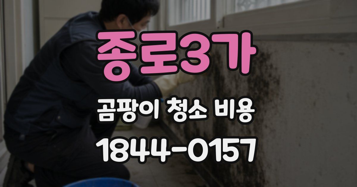 종로3가 곰팡이 청소 비용