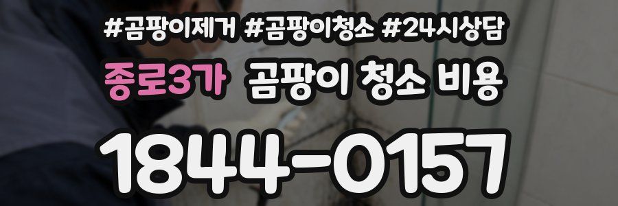 종로3가 곰팡이 청소 비용