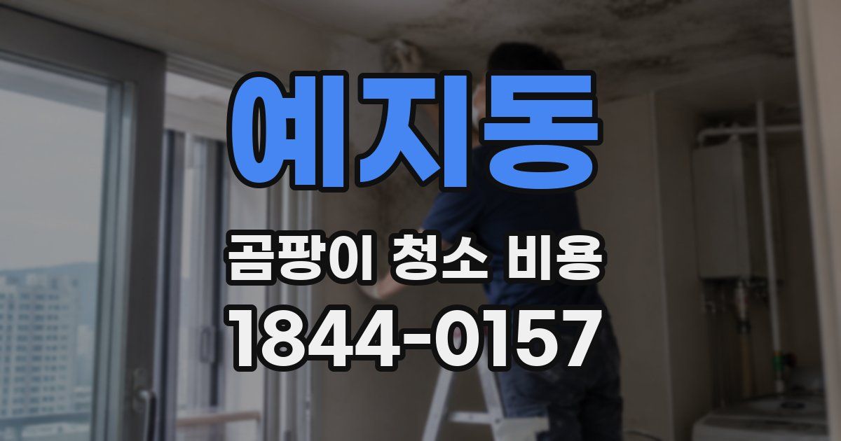 예지동 곰팡이 청소 비용