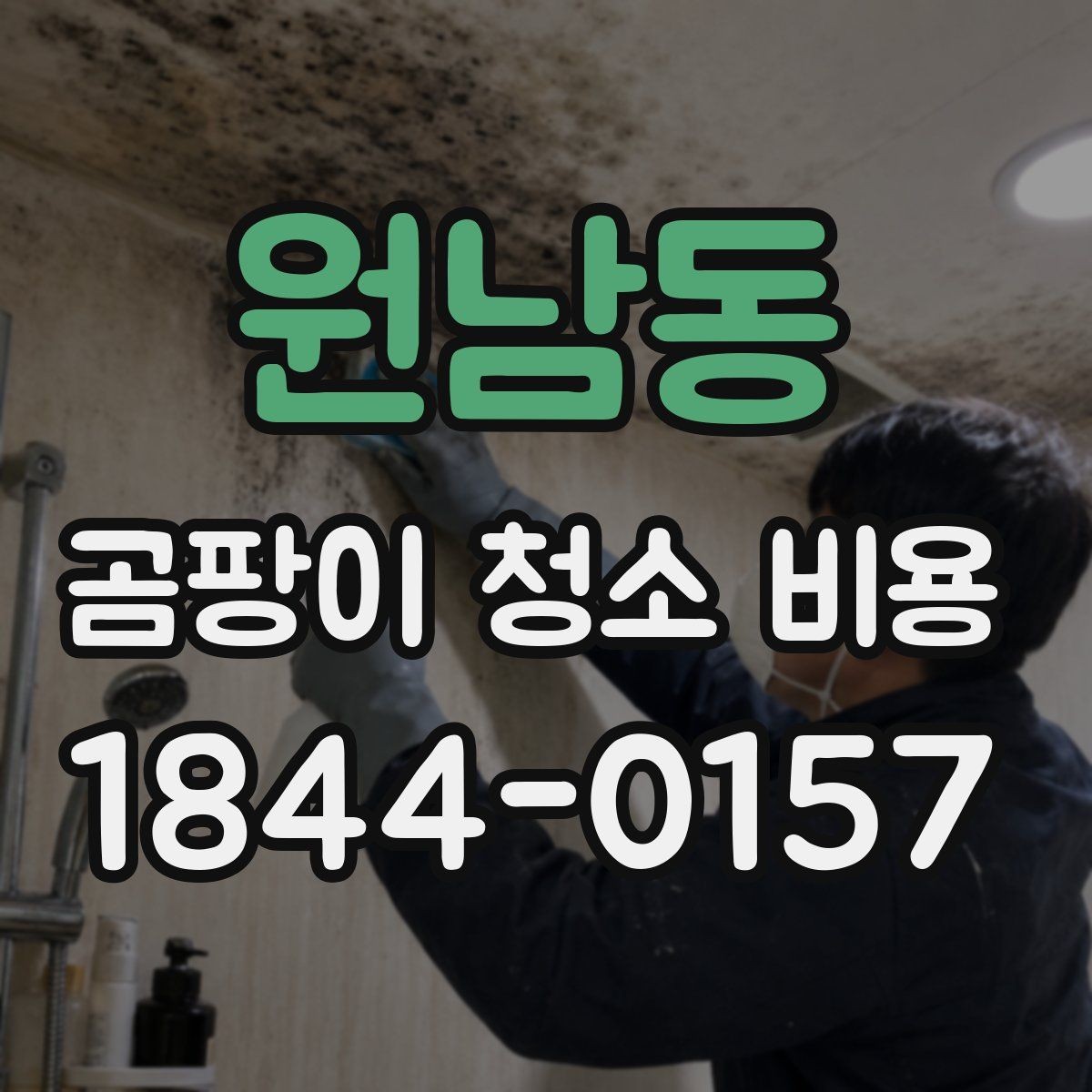 원남동 곰팡이 청소 비용 곰팡이 범위가 넓을 때 우선 확인할 점