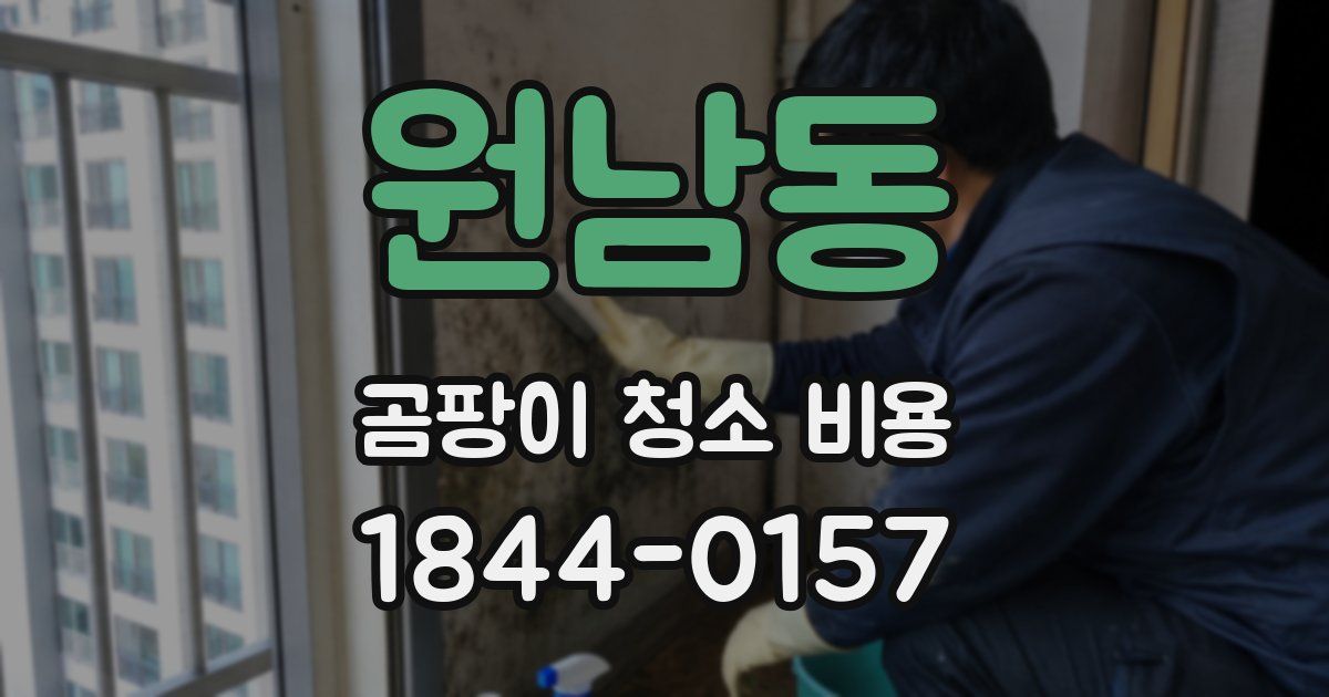 원남동 곰팡이 청소 비용