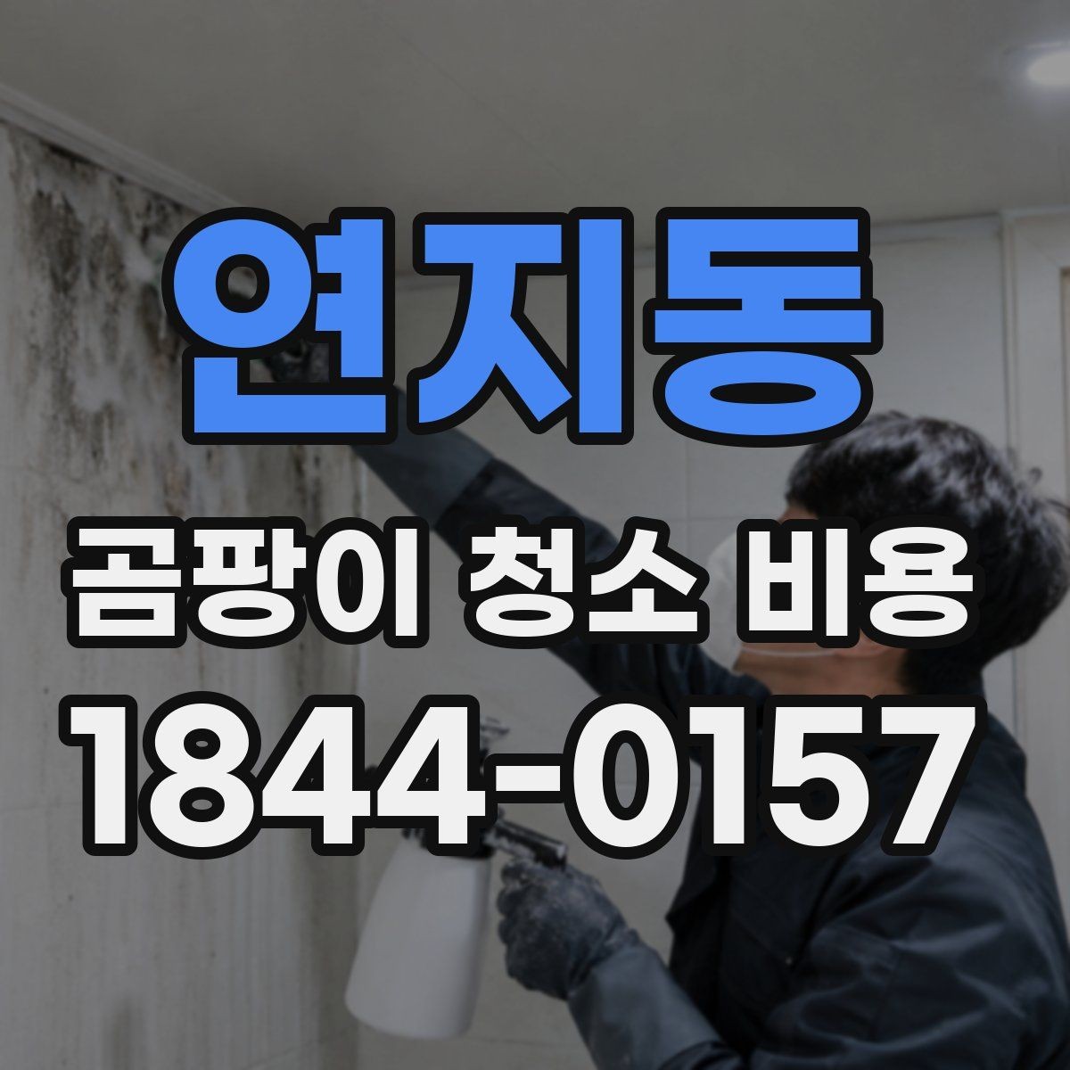 연지동 곰팡이 청소 비용 곰팡이 종류에 따라 달라지는 처리 방식