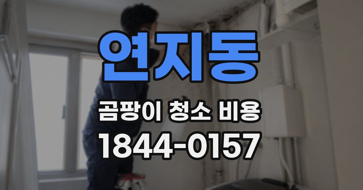 연지동 곰팡이 청소 비용