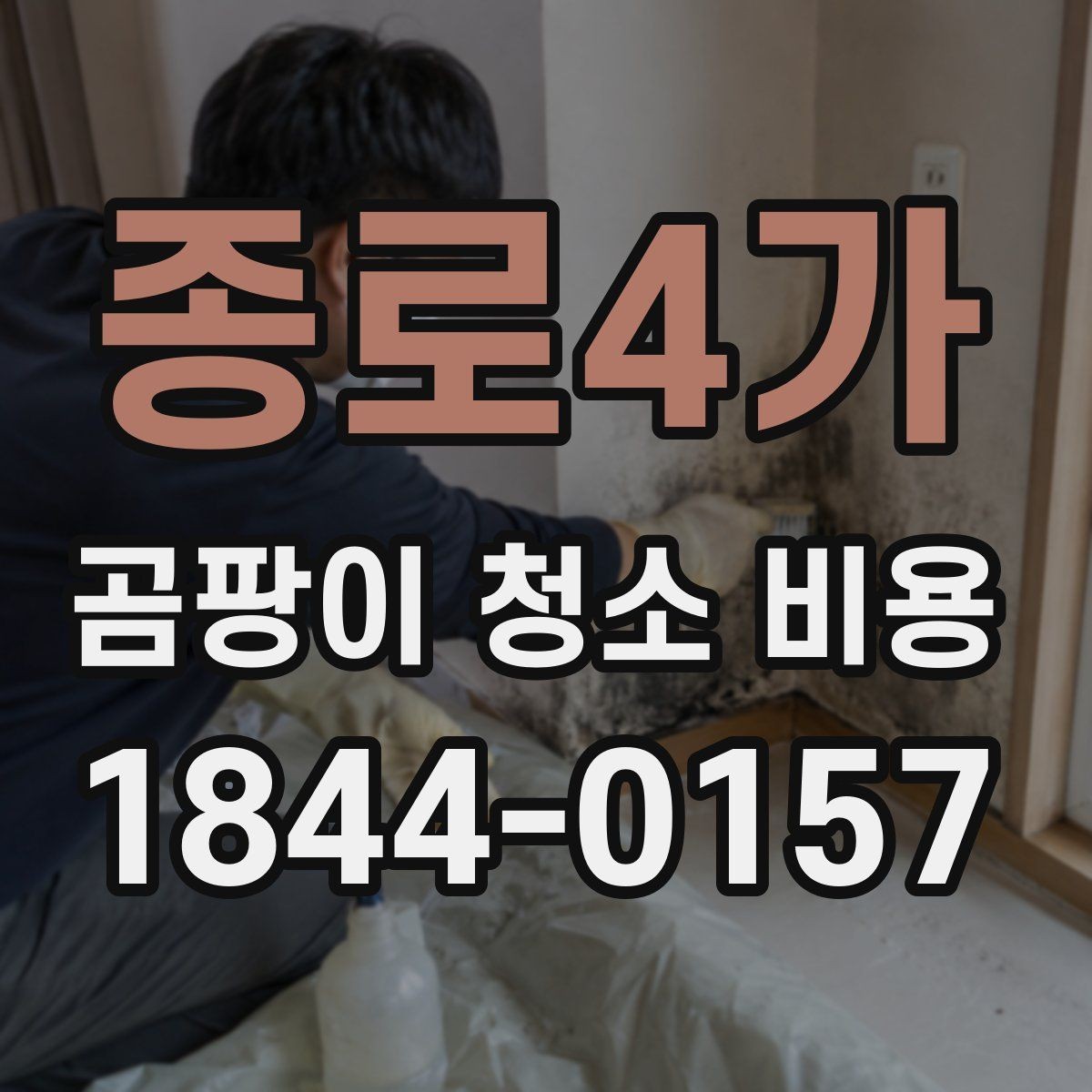 종로4가 곰팡이 청소 비용 벽지 손상 여부에 따라 달라지는 범위