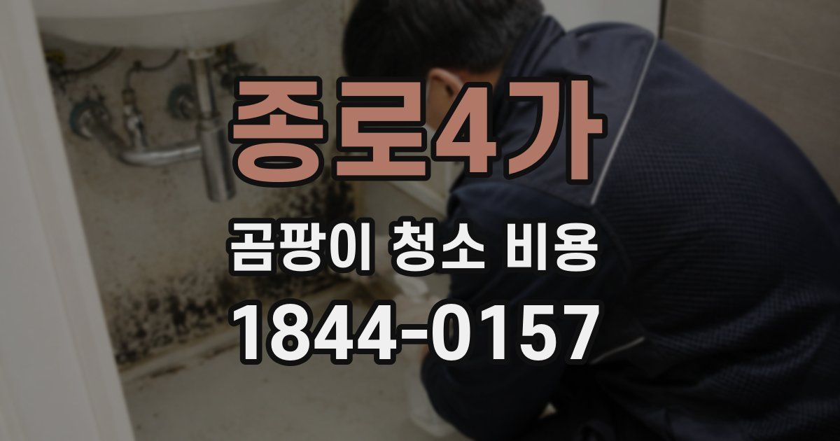 종로4가 곰팡이 청소 비용