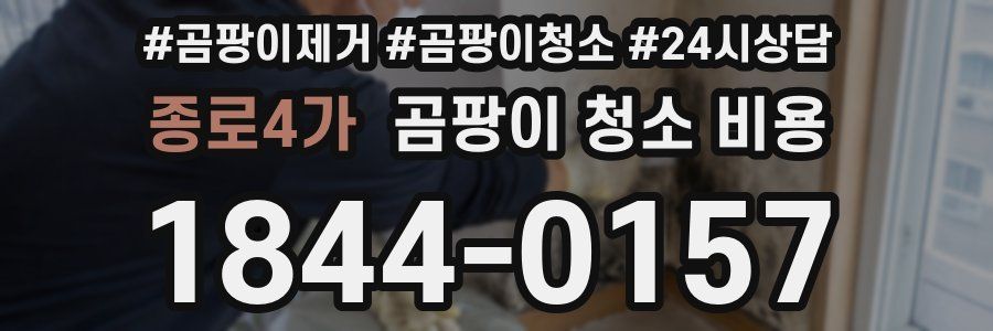 종로4가 곰팡이 청소 비용