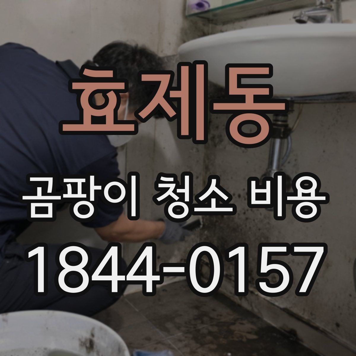 효제동 곰팡이 청소 비용 천장과 벽면 작업 시간이 달라지는 이유