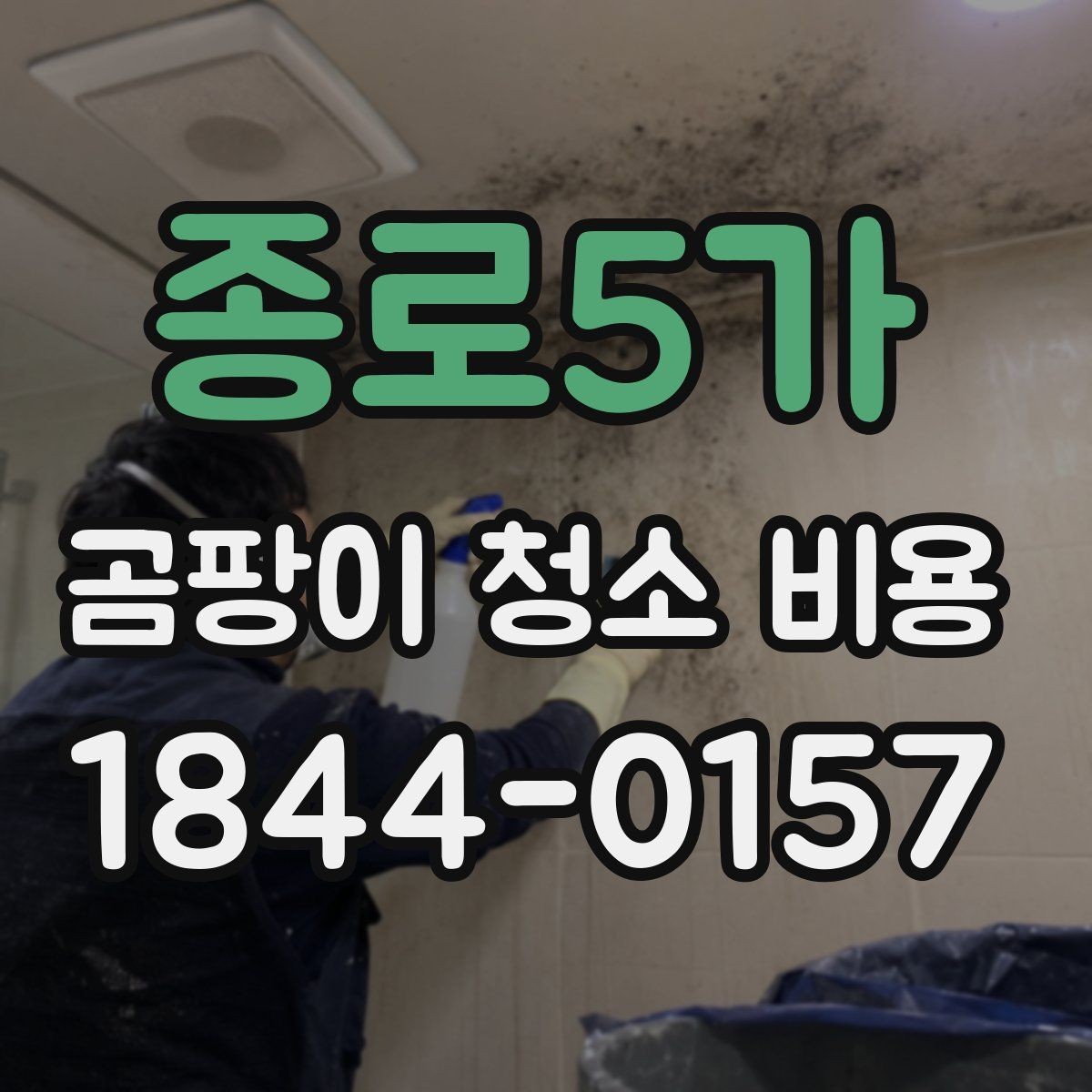 종로5가 곰팡이 청소 비용 냄새 민감한 가족이 있는 집의 진행 방식