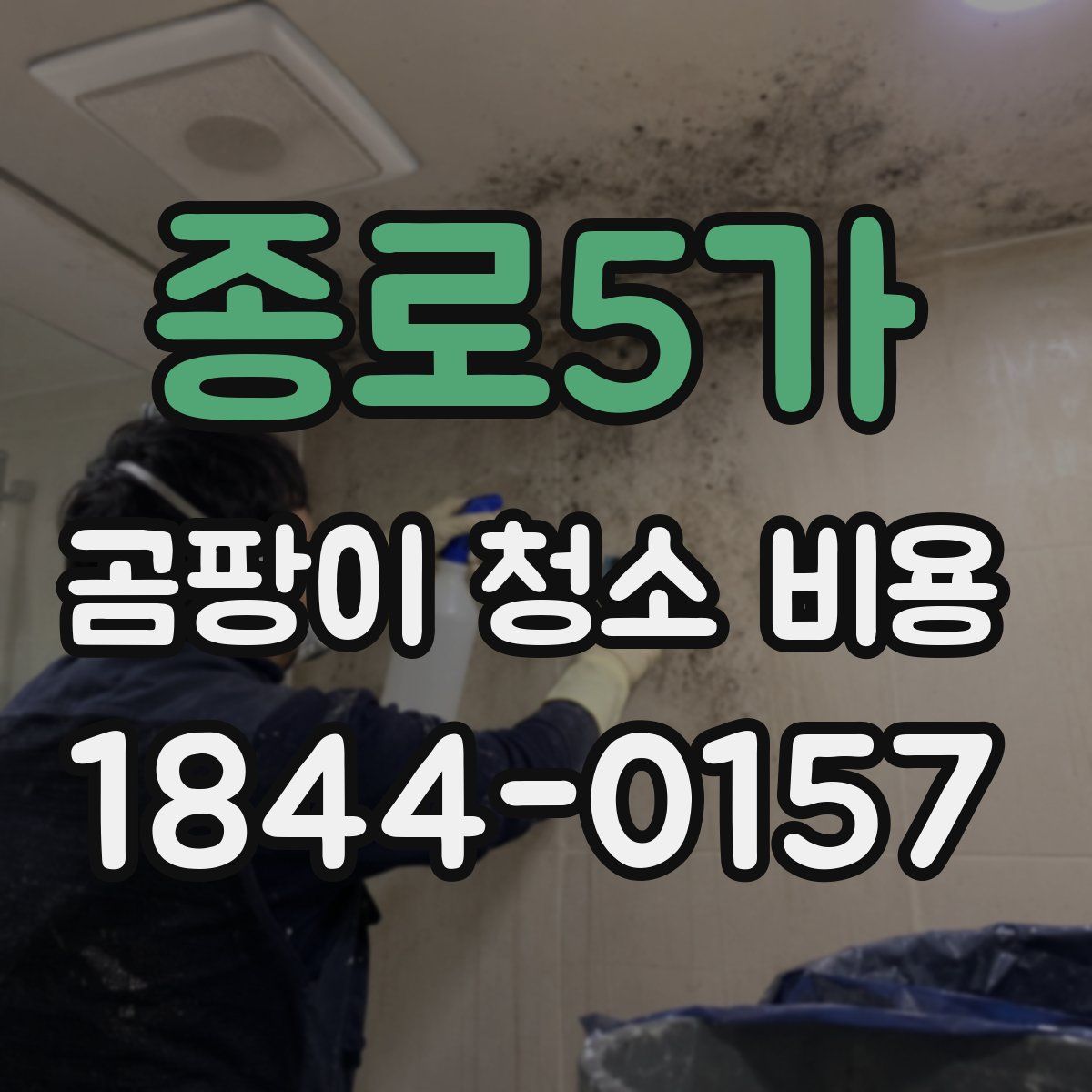 종로5가 곰팡이 청소 비용