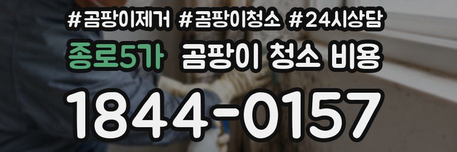 종로5가 곰팡이 청소 비용