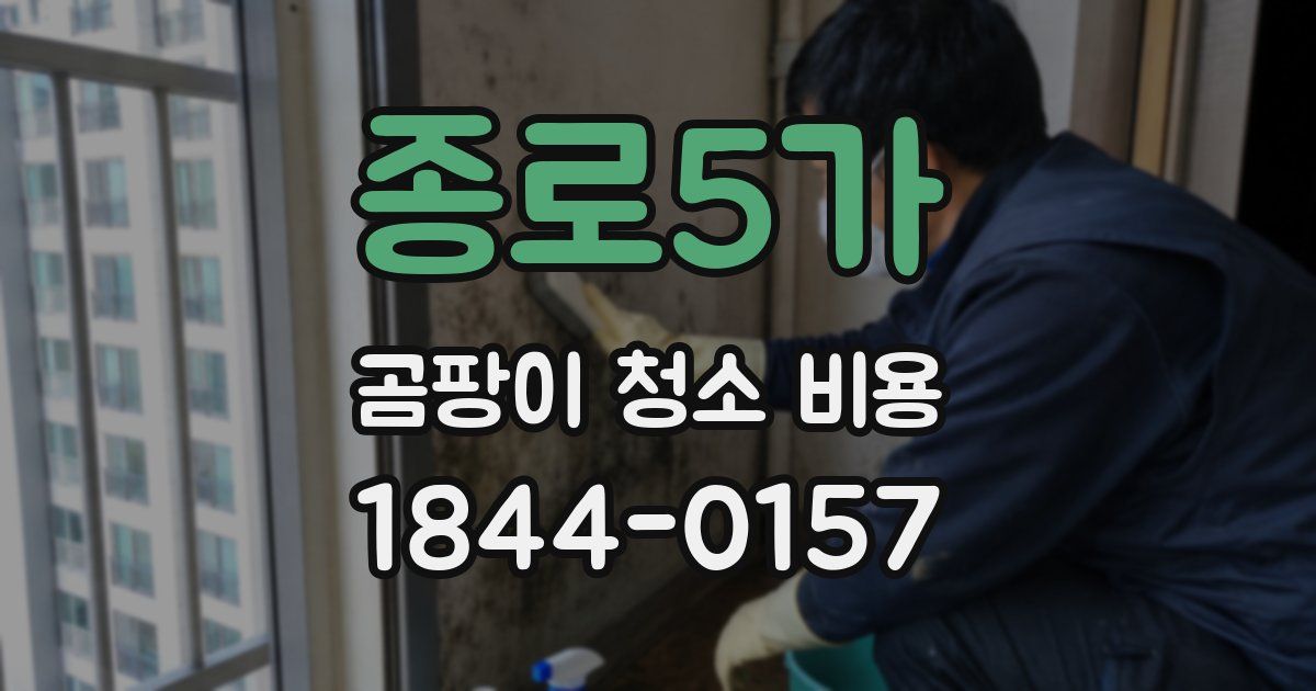 종로5가 곰팡이 청소 비용