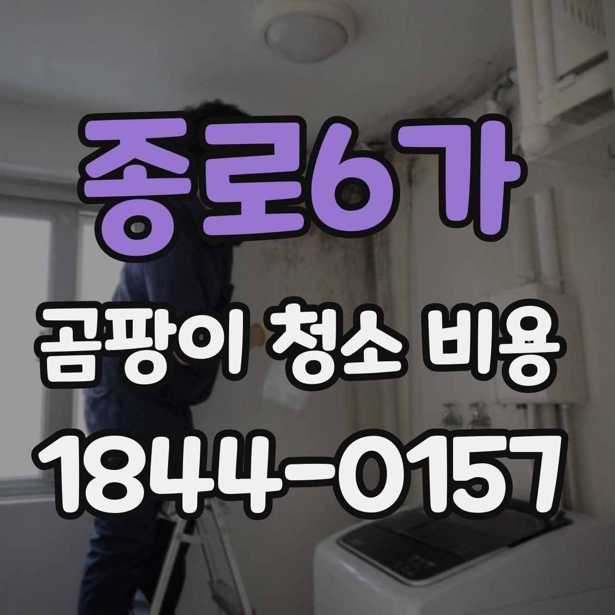 종로6가 곰팡이 청소 비용