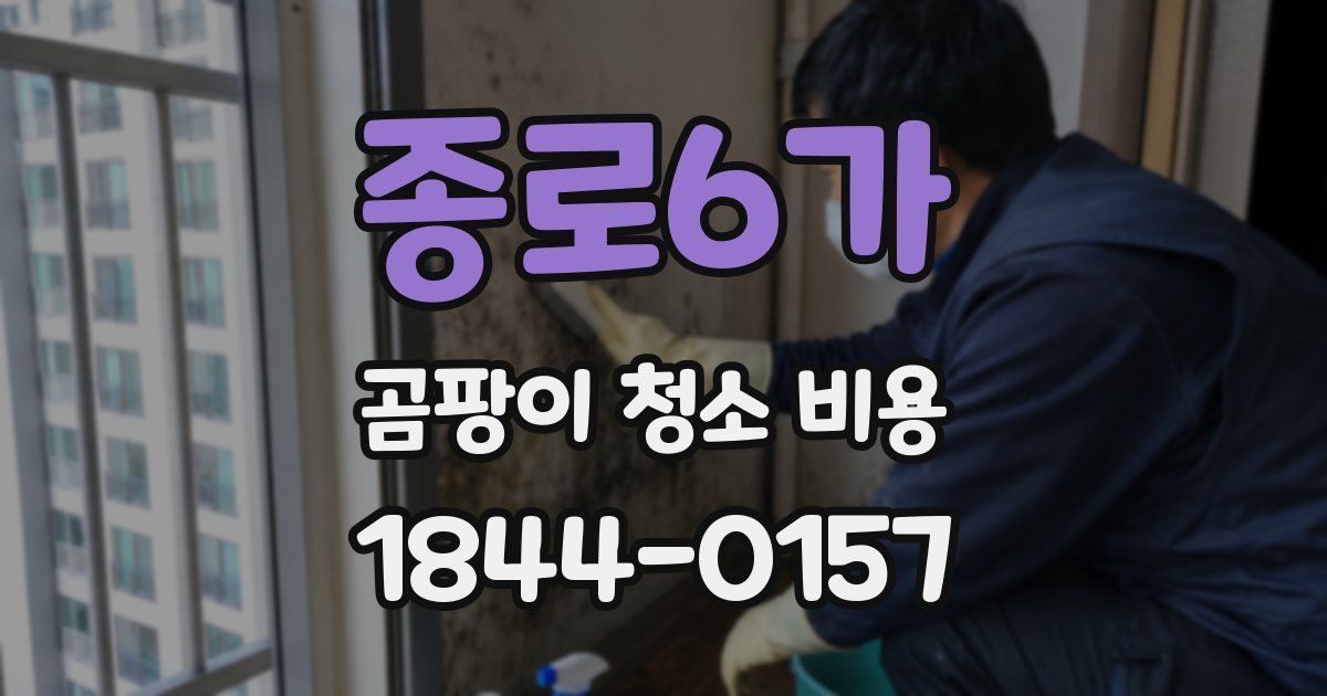 종로6가 곰팡이 청소 비용