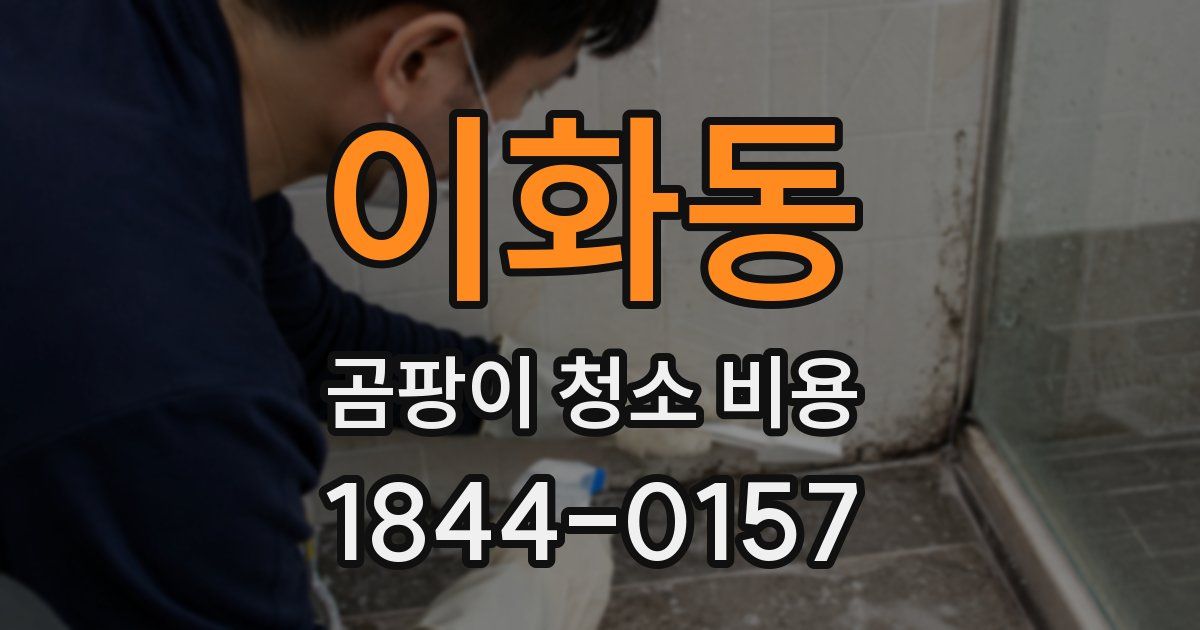 이화동 곰팡이 청소 비용
