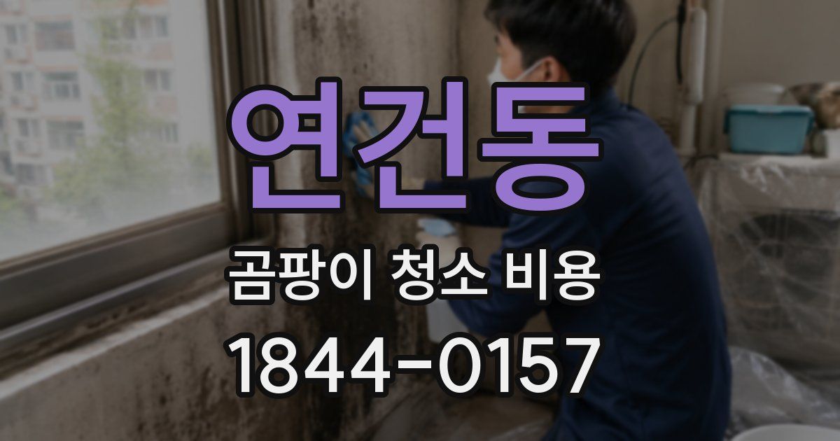 연건동 곰팡이 청소 비용