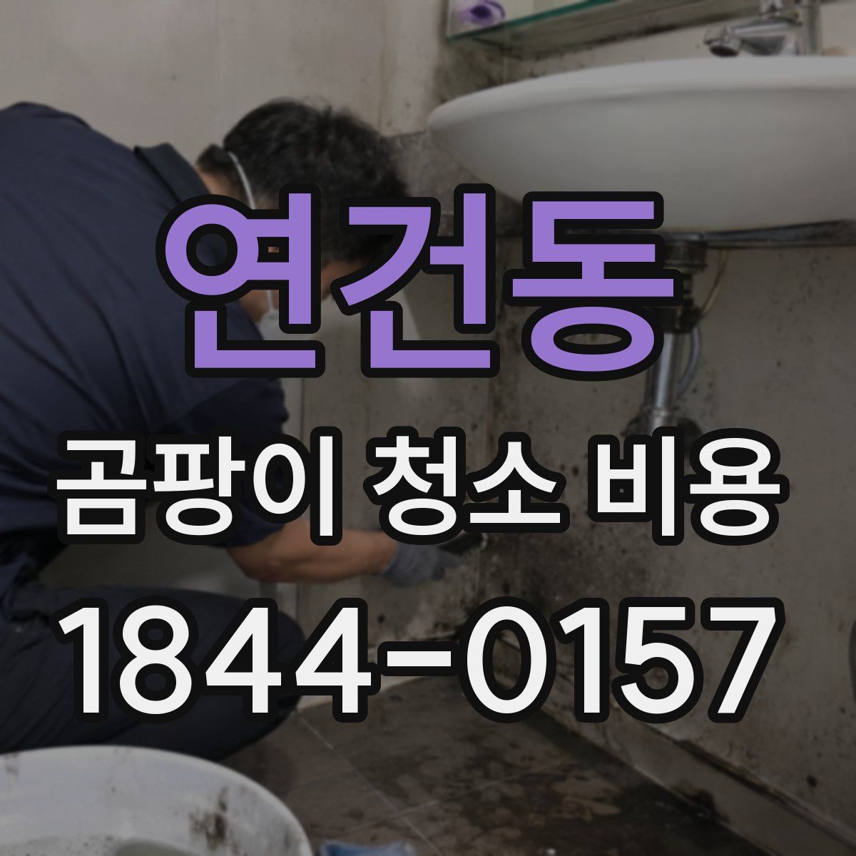 연건동 곰팡이 청소 비용