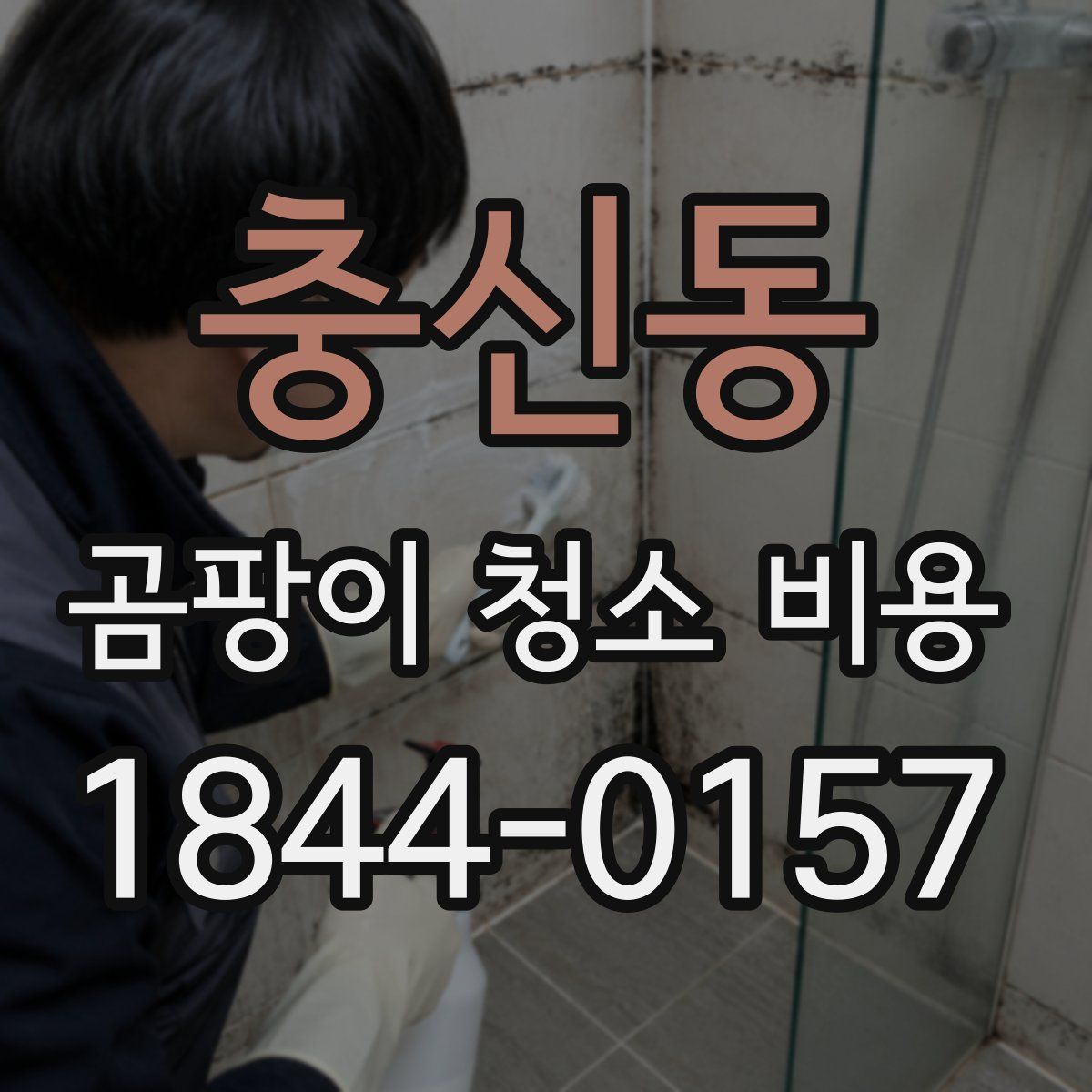 충신동 곰팡이 청소 비용