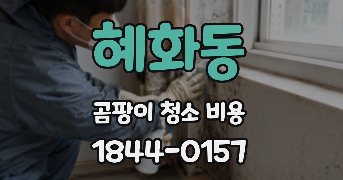 혜화동 곰팡이 청소 비용