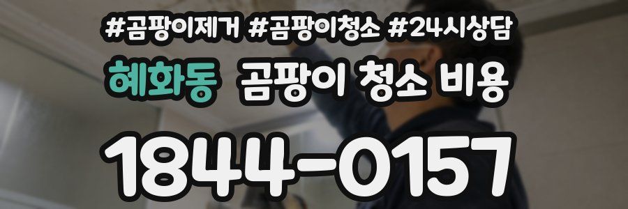 혜화동 곰팡이 청소 비용
