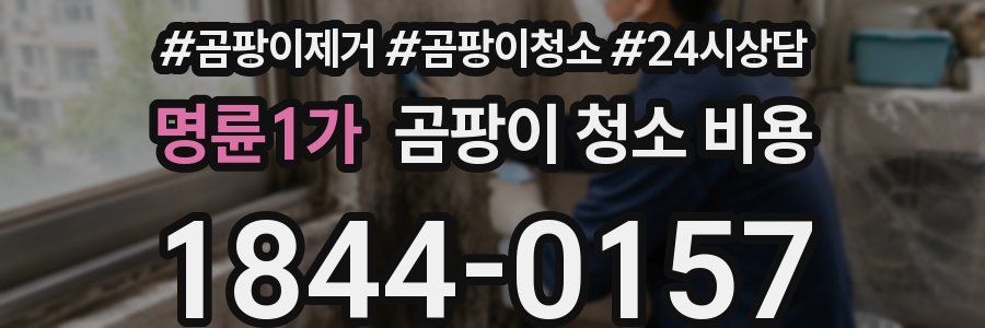 명륜1가 곰팡이 청소 비용