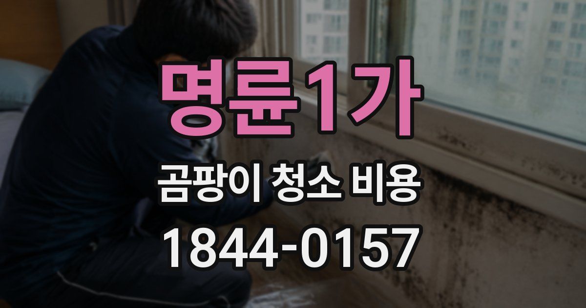 명륜1가 곰팡이 청소 비용