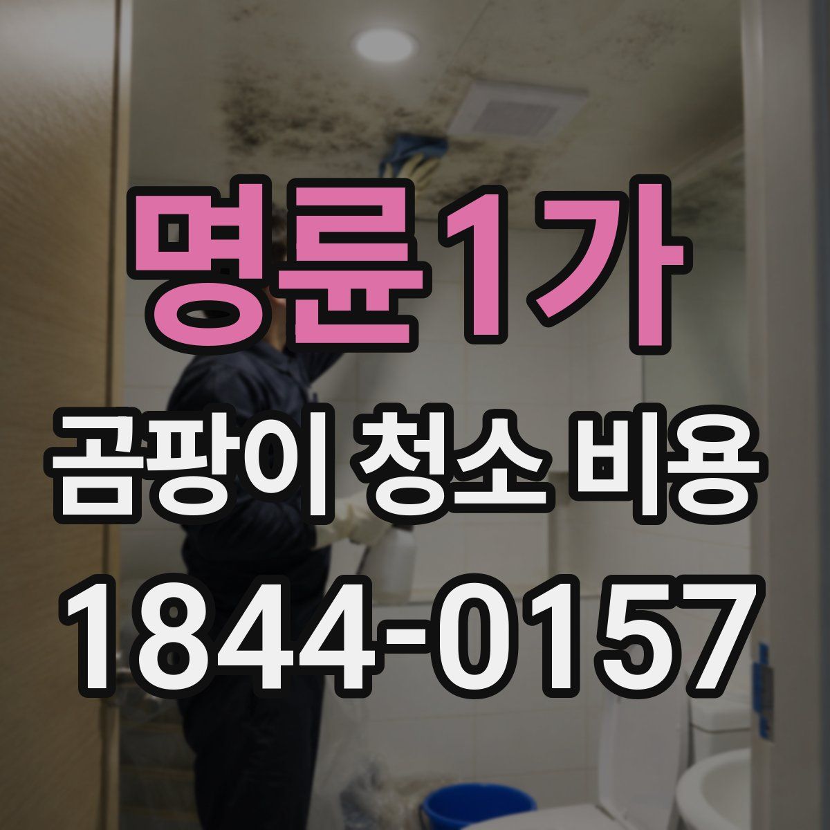 명륜1가 곰팡이 청소 비용