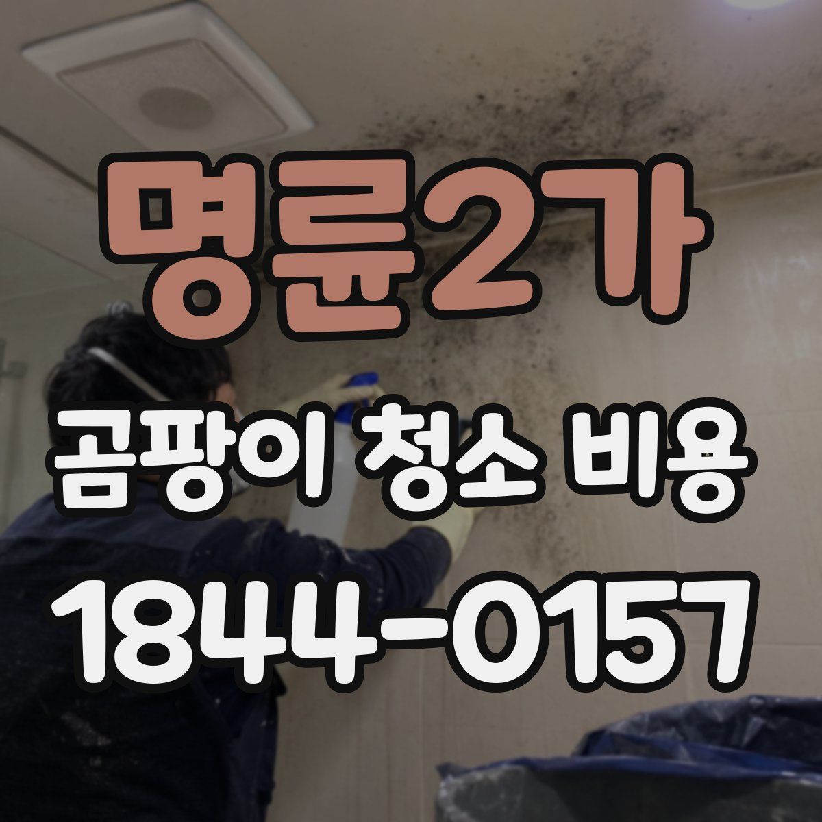 명륜2가 곰팡이 청소 비용