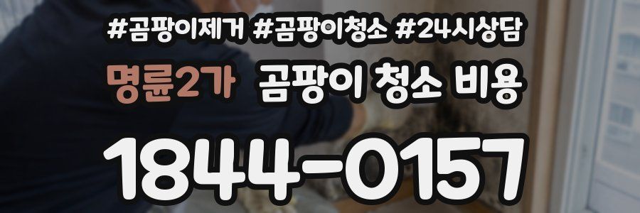 명륜2가 곰팡이 청소 비용