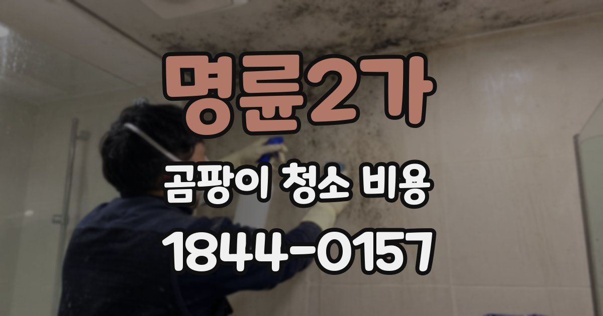 명륜2가 곰팡이 청소 비용
