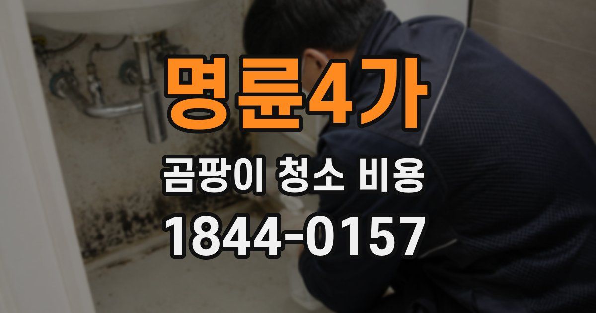 명륜4가 곰팡이 청소 비용