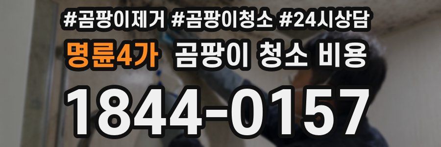 명륜4가 곰팡이 청소 비용