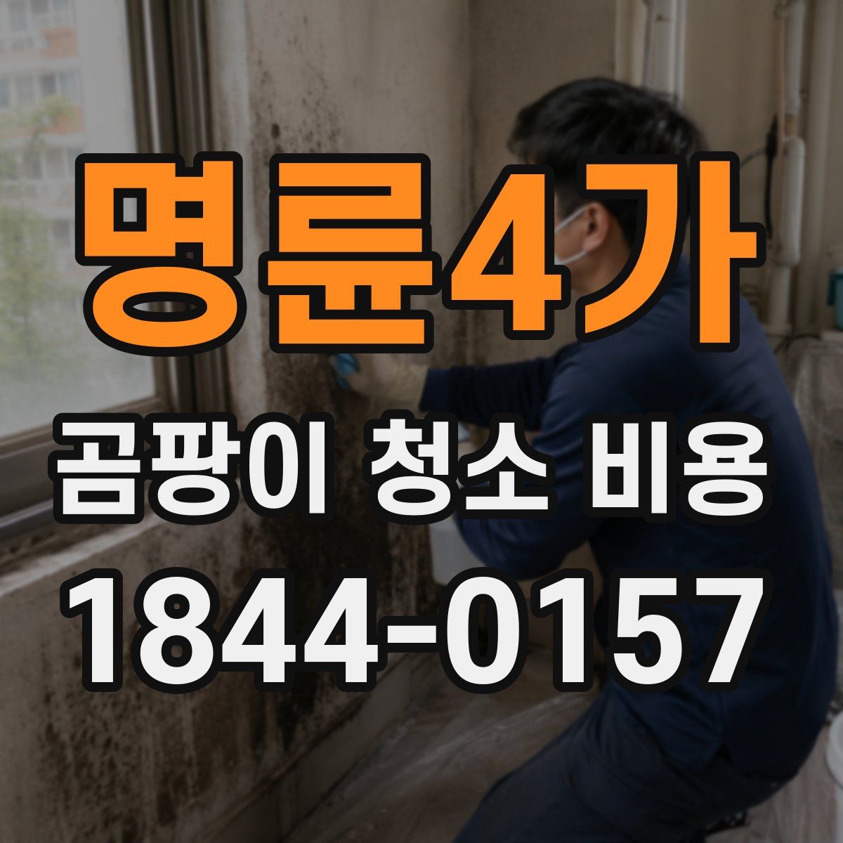 명륜4가 곰팡이 청소 비용
