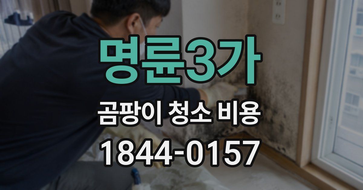 명륜3가 곰팡이 청소 비용