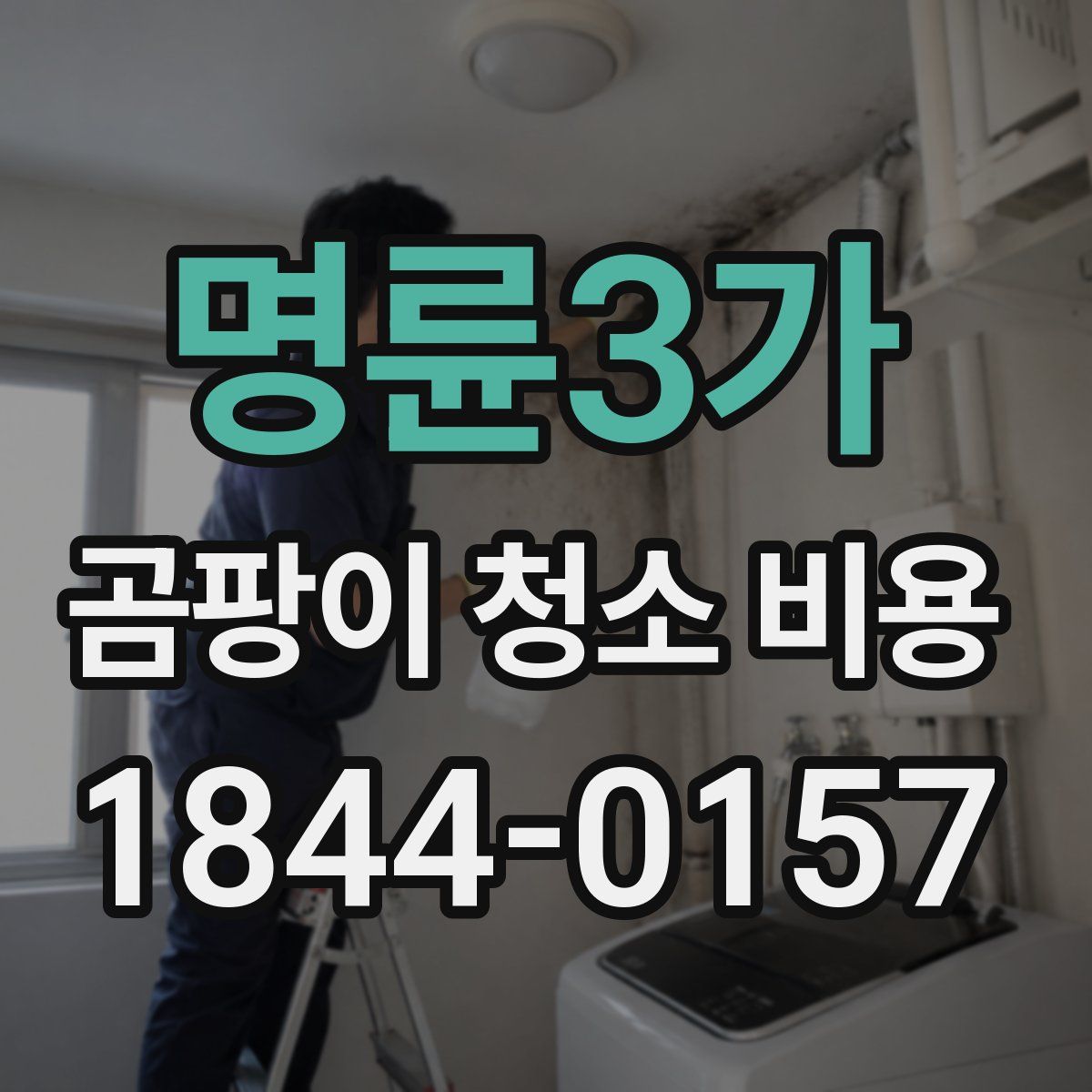 명륜3가 곰팡이 청소 비용