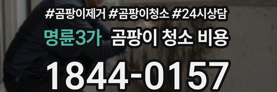 명륜3가 곰팡이 청소 비용