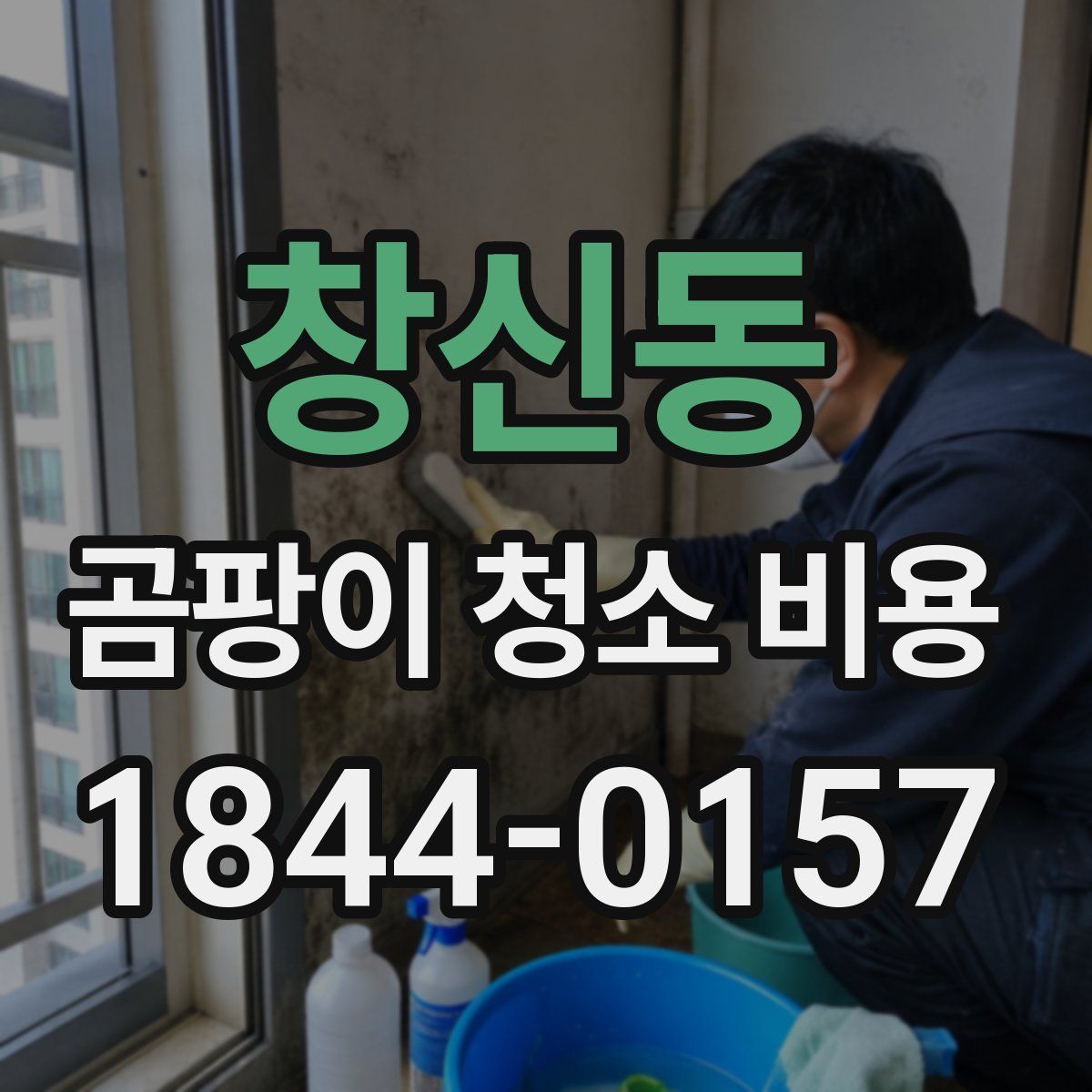 창신동 곰팡이 청소 비용