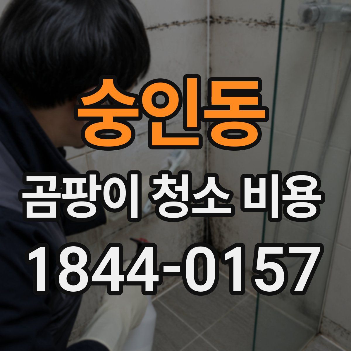 숭인동 곰팡이 청소 비용