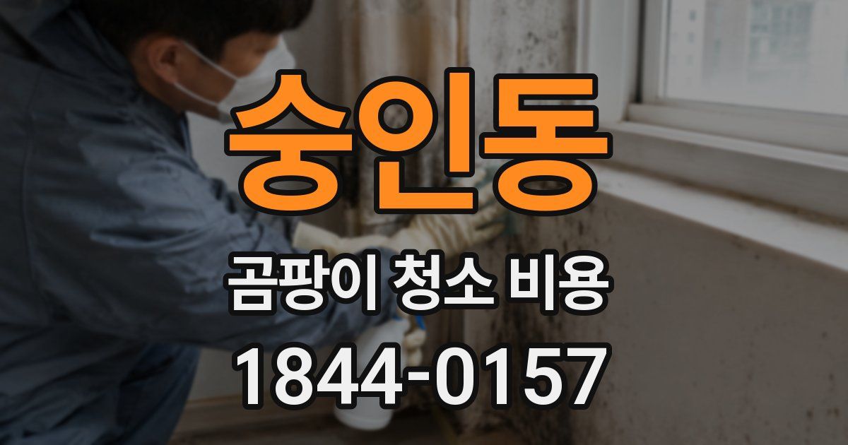 숭인동 곰팡이 청소 비용