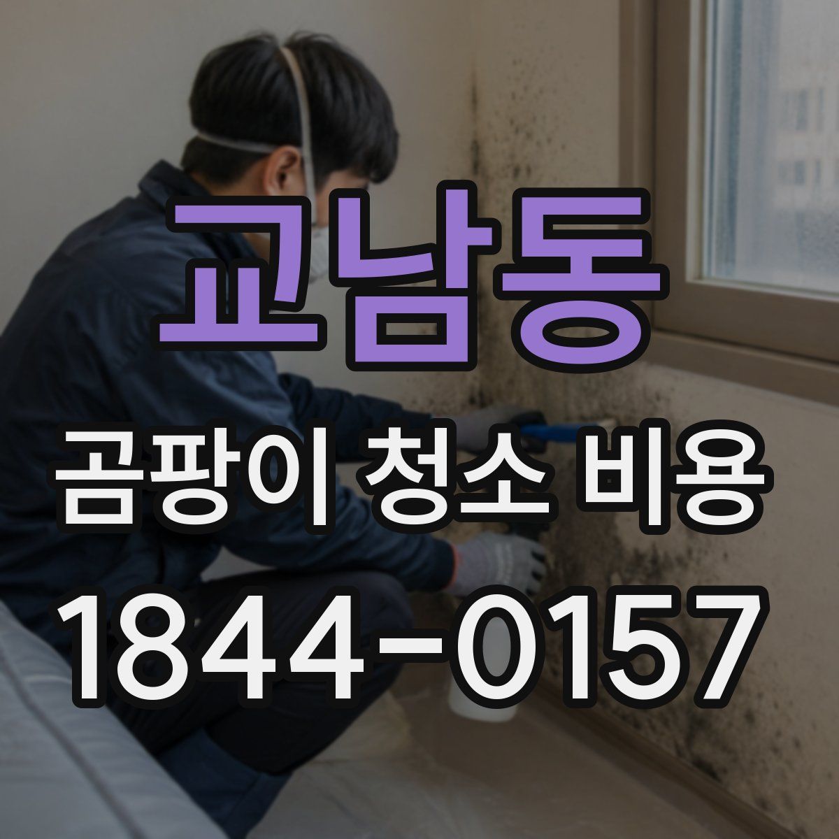 교남동 곰팡이 청소 비용
