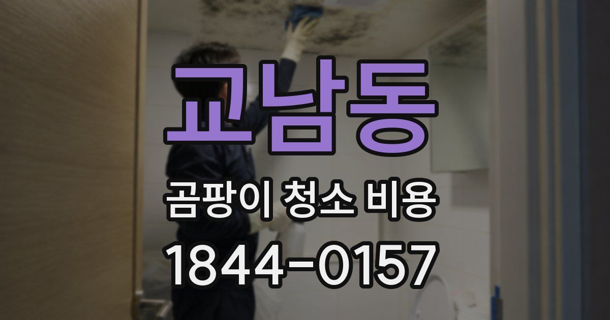 교남동 곰팡이 청소 비용