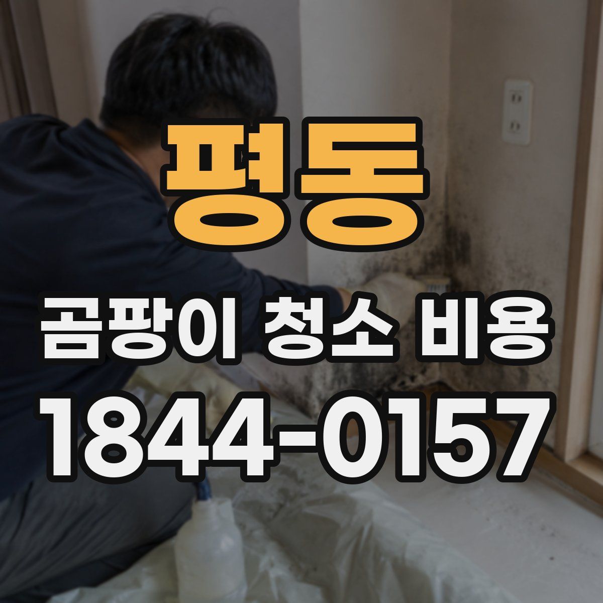 평동 곰팡이 청소 비용